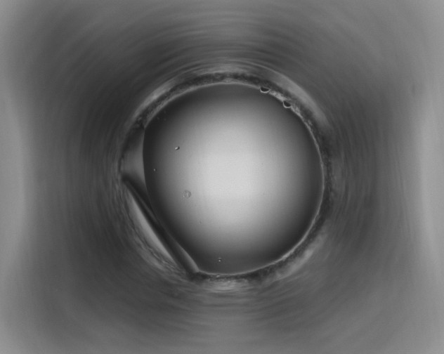 X0000115810826200911201416