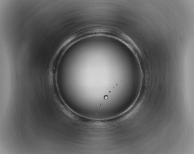 X0000115810827200911201416