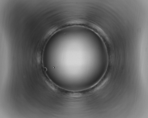 X0000115810833200911201417