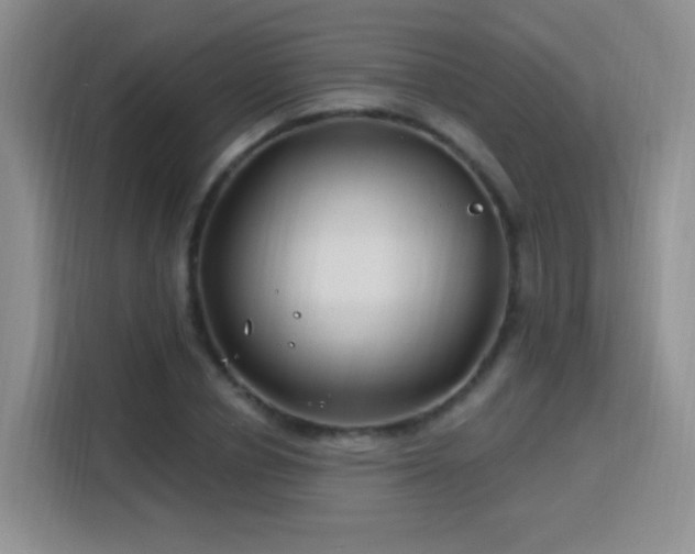 X0000115810834200911201417