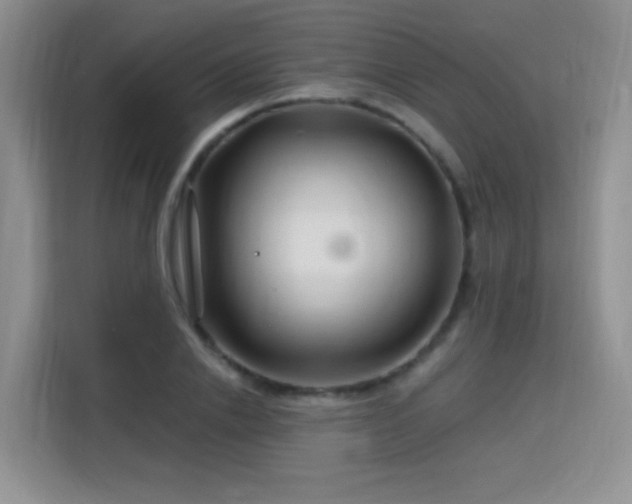 X0000115810838200911201417