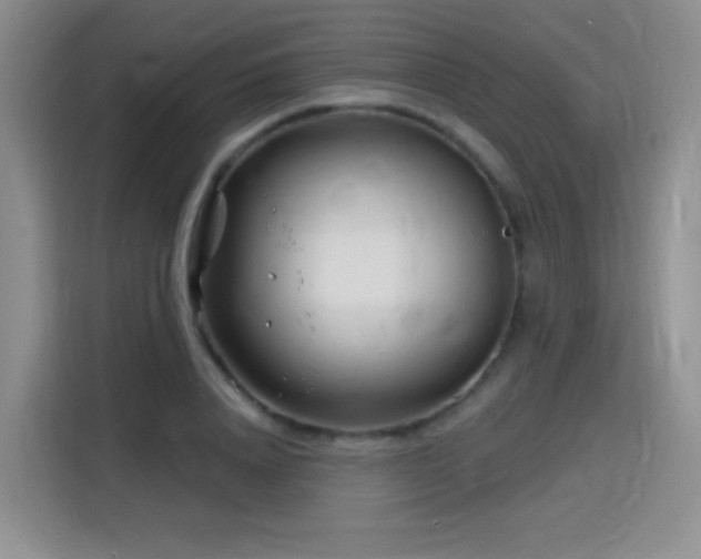 X0000115810840200911201417