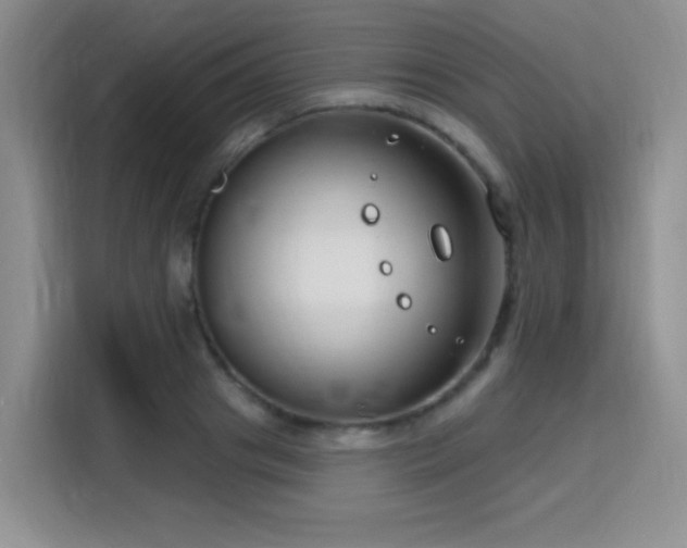X0000115810841200911201417