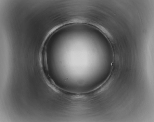 X0000115810846200911201417
