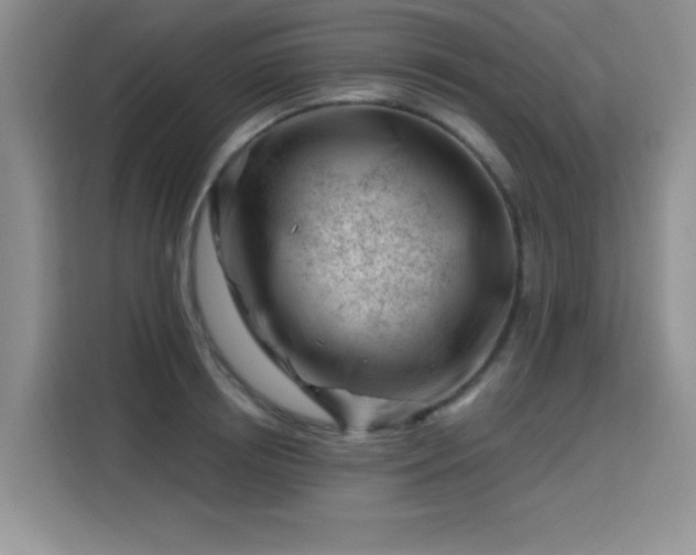 X0000115810850200911201417