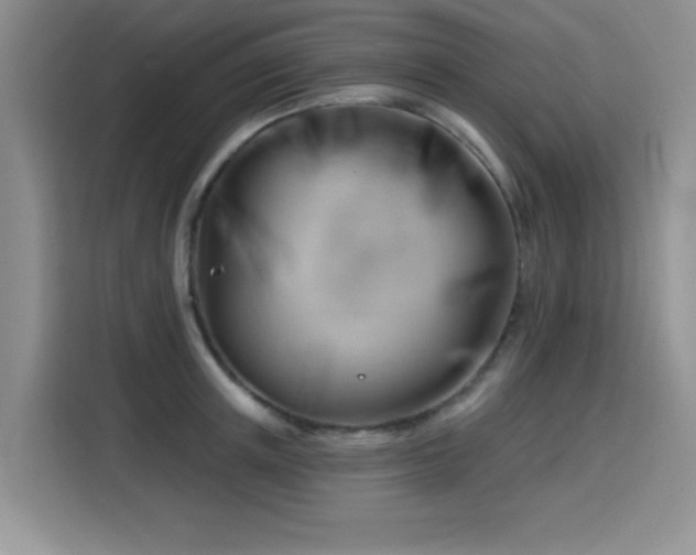X0000115810851200911201417