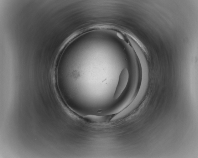 X0000115810853200911201417