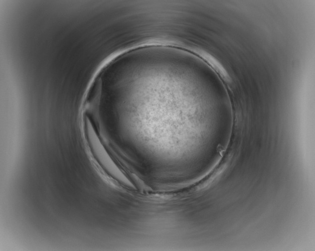X0000115810854200911201417