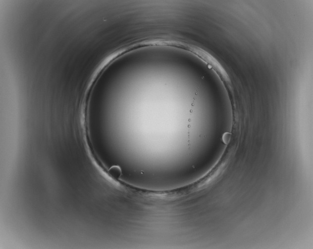 X0000115810855200911201417