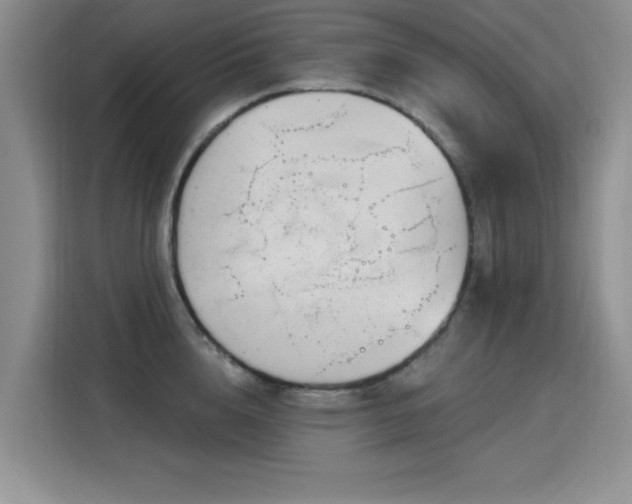 X0000115810856200911201417