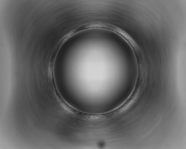 X0000115810857200911201417