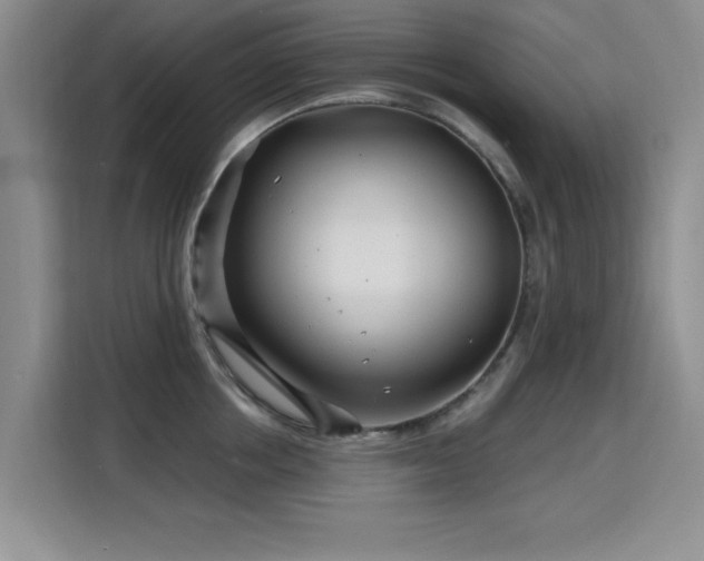 X0000115810858200911201417