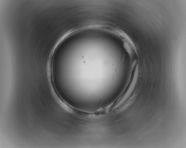X0000115810859200911201417