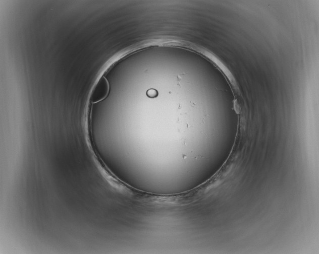 X0000115810861200911201417