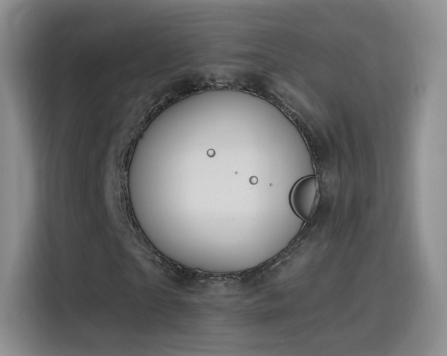 X0000115810865200911201416