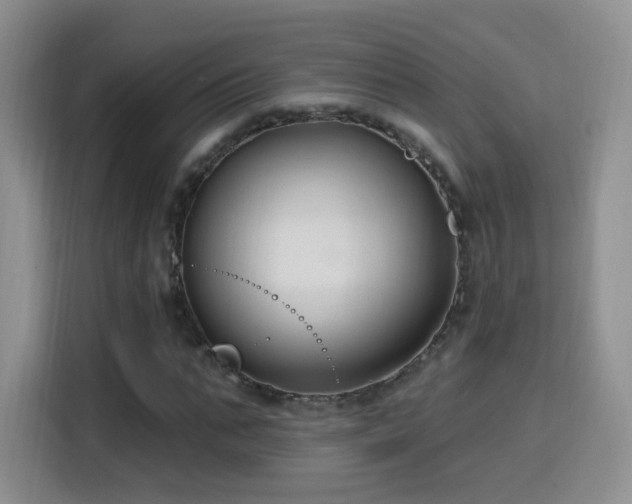 X0000115810871200911201416