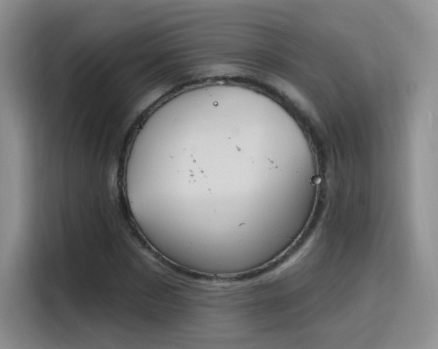 X0000115810873200911201416