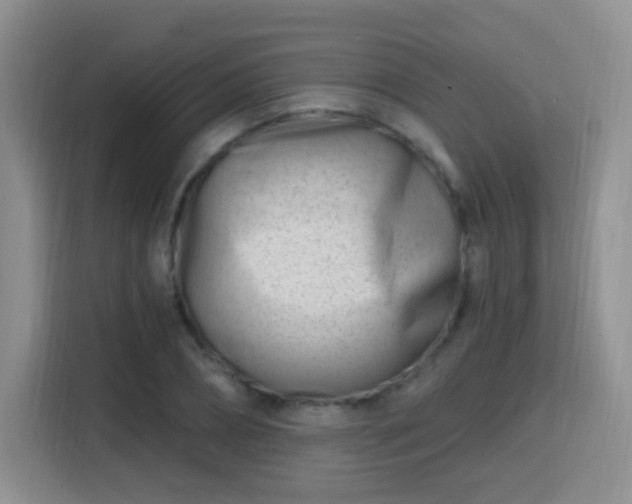 X0000115810882200911201416