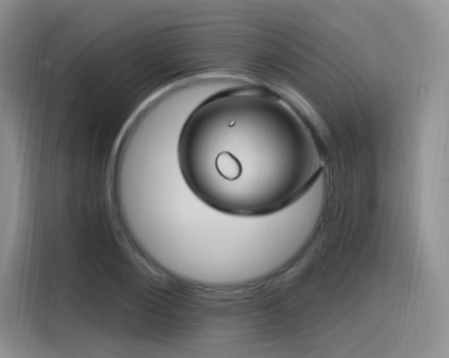 X0000115810884200911201416