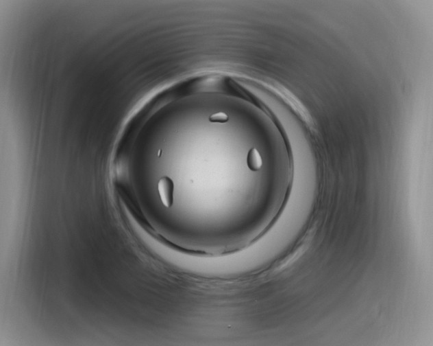 X0000115810885200911201416