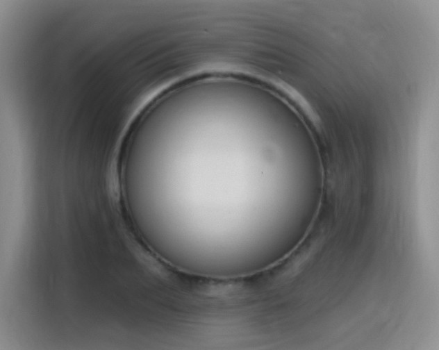 X0000115810887200911201416