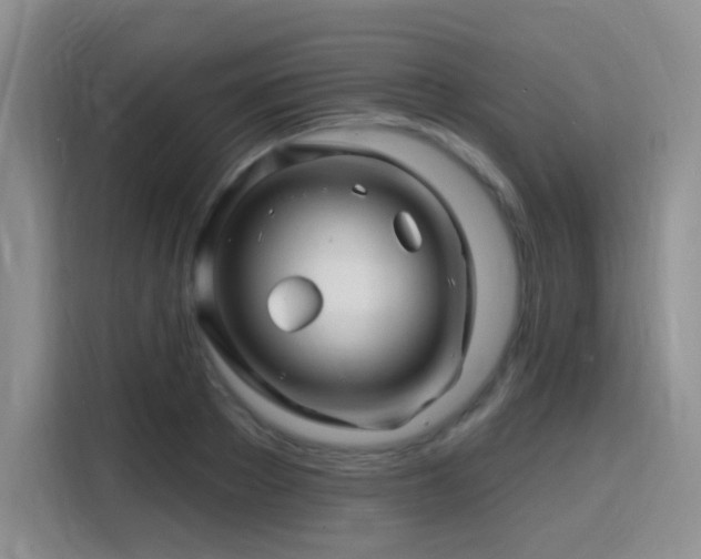 X0000115810889200911201416