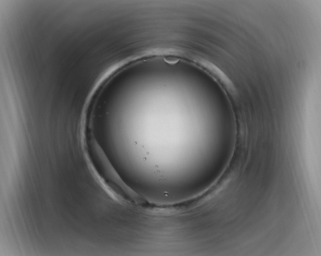 X0000115810894200911201416