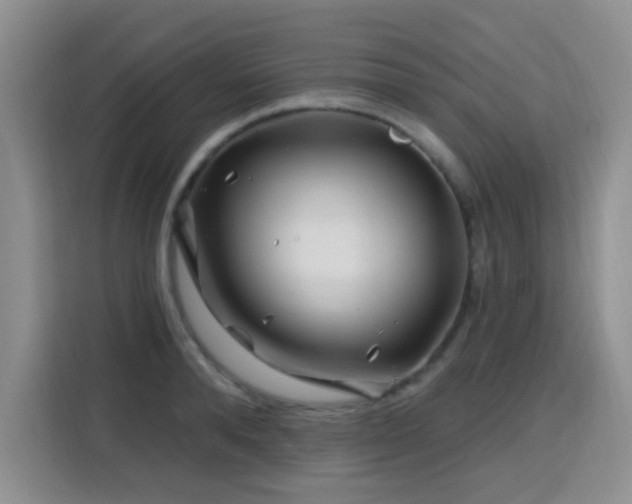 X0000115810896200911201416