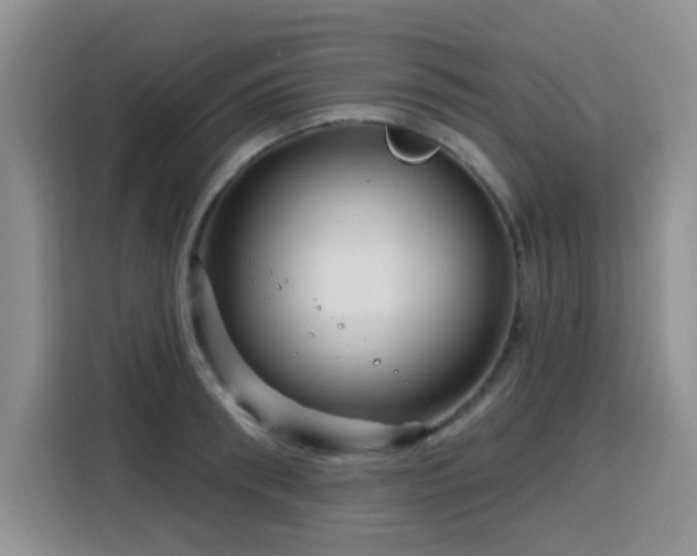 X0000115810898200911201416