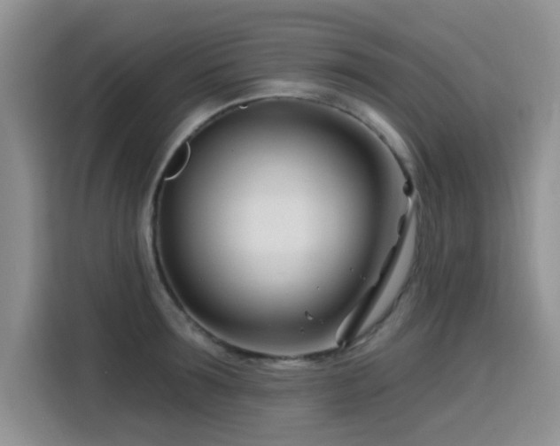 X0000115810899200911201416