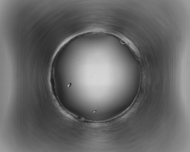 X0000115810904200911201416