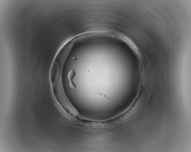 X0000115810907200911201416