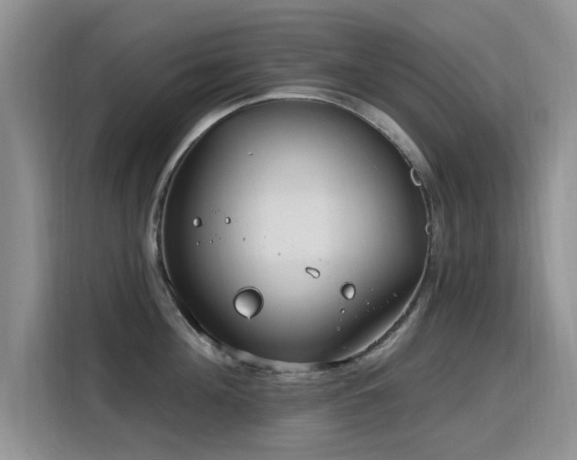 X0000115810908200911201416