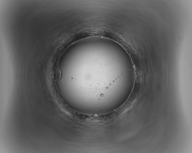X0000115810913200911201415