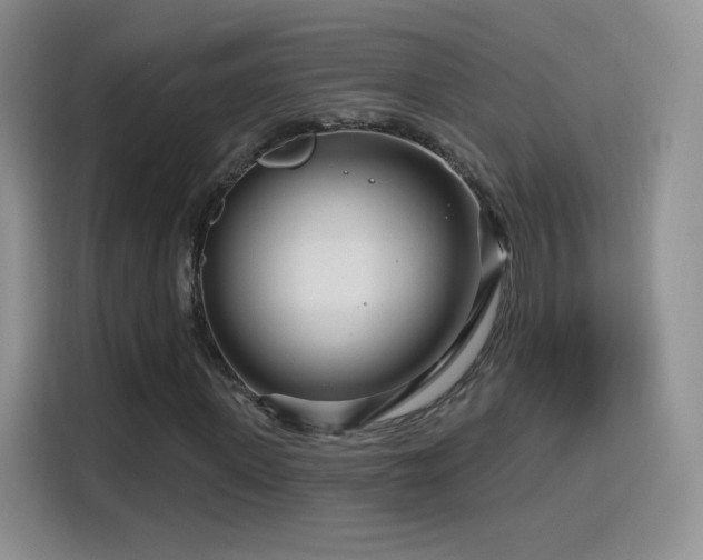 X0000115810915200911201415