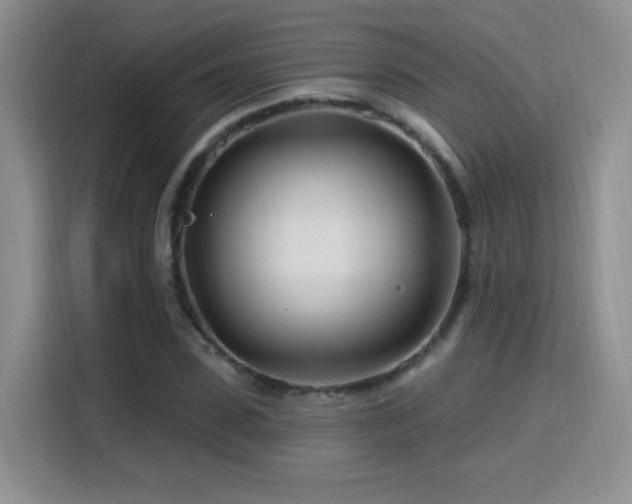 X0000115810923200911201415