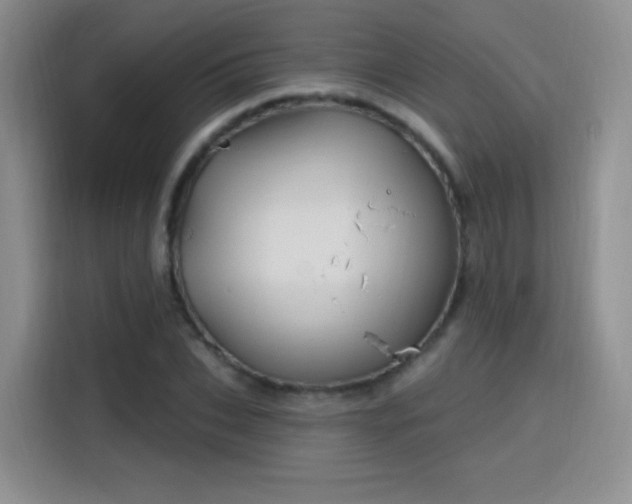 X0000115810927200911201415