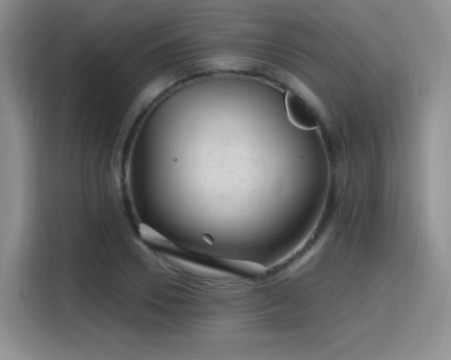 X0000115810930200911201415
