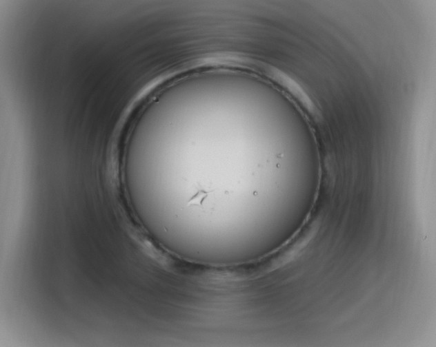 X0000115810931200911201415