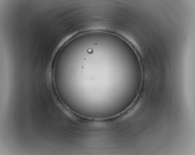 X0000115810933200911201415