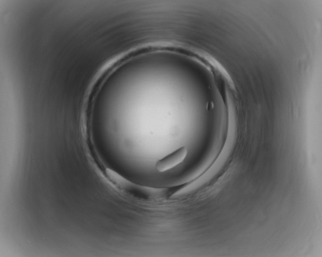 X0000115810935200911201415