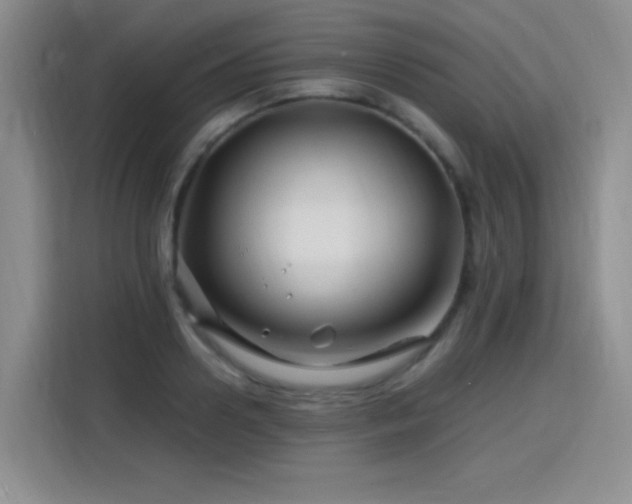 X0000115810938200911201415