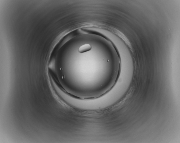 X0000115810946200911201416