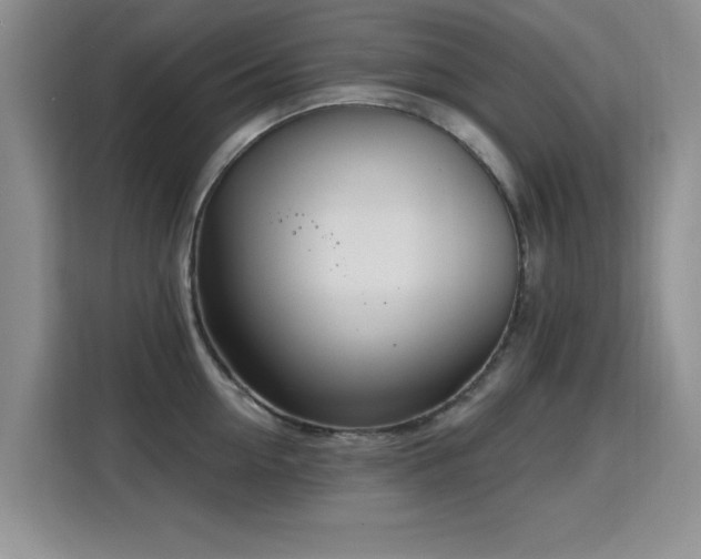 X0000115810954200911201416