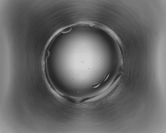 X0000115810955200911201416