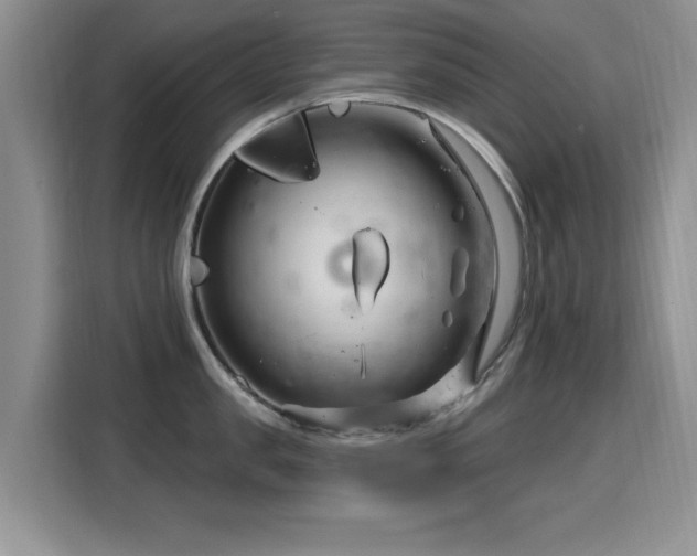 X0000115810957200911201416