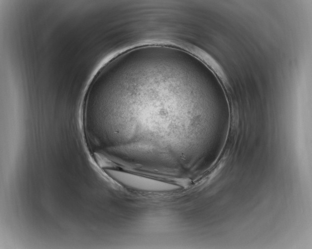 X0000115810958200911201416