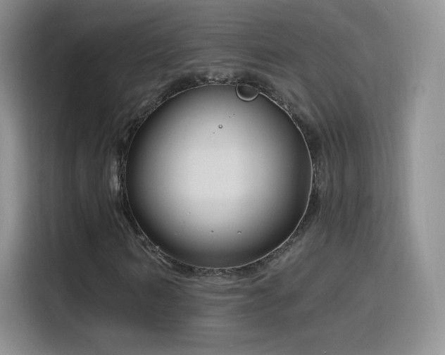 X0000115810962200911201415