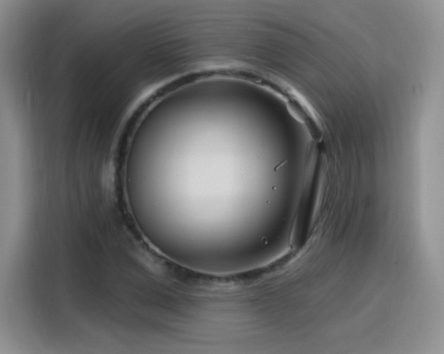 X0000115810975200911201415