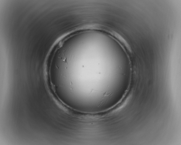 X0000115810981200911201415